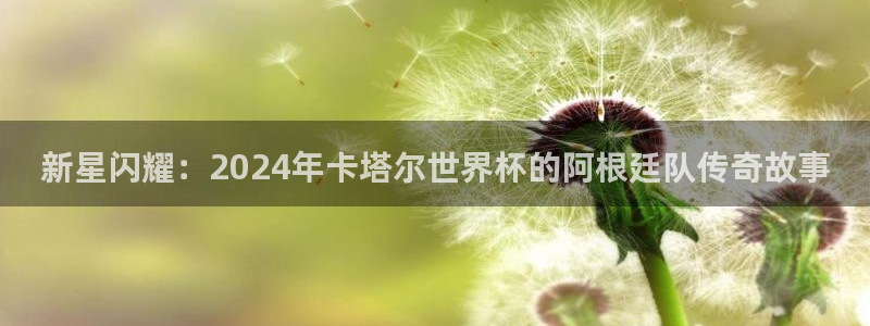 世界杯足球赛2026赛程时间：新星闪耀：2024年卡塔尔世界杯的阿根廷队传奇故事