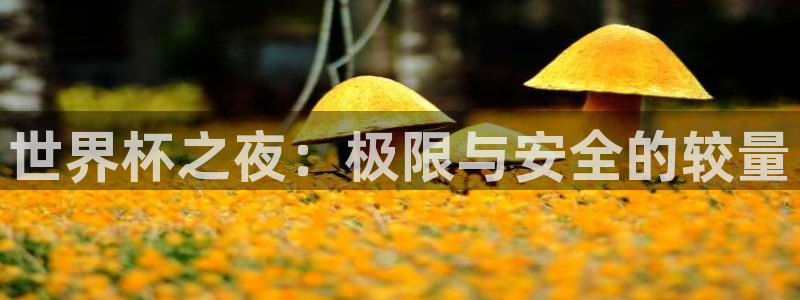 世预赛欧洲赛程表：世界杯之夜：极限与安全的较量