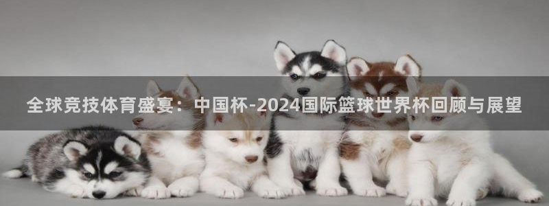世界直播：全球竞技体育盛宴：中国杯-2024国际篮球世界杯回顾与展望