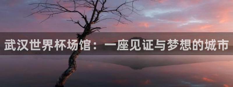 2026 世界杯：武汉世界杯场馆：一座见证与梦想的城市