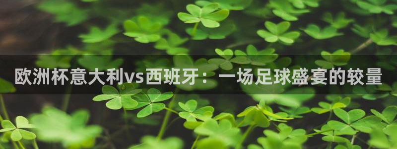 世界杯足球比赛：欧洲杯意大利vs西班牙：一场足球盛宴的较量