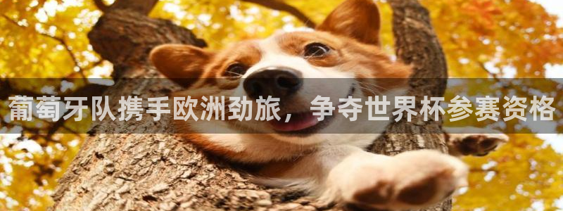 世界杯预选赛欧洲区赛程：葡萄牙队携手欧洲劲旅，争夺世界杯参赛资格