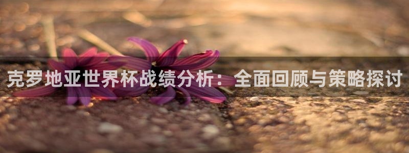 2026世界杯买球：克罗地亚世界杯战绩分析：全面回顾与策略探讨