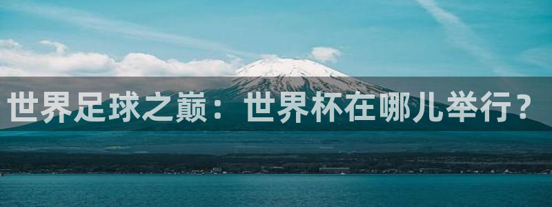 看世界杯：世界足球之巅：世界杯在哪儿举行？
