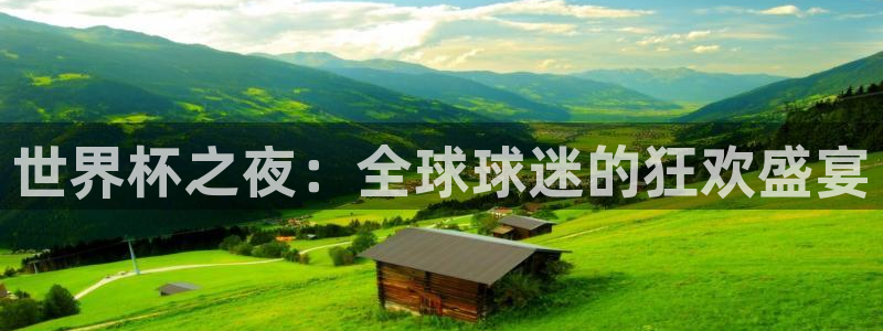 26世界杯：世界杯之夜：全球球迷的狂欢盛宴