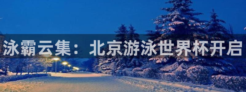 世界杯足球比赛：泳霸云集：北京游泳世界杯开启