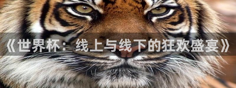 美国世界杯：《世界杯：线上与线下的狂欢盛宴》