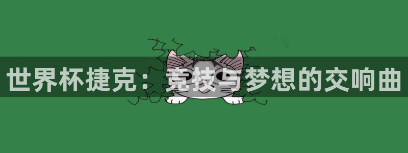 中国 世界杯：世界杯捷克：竞技与梦想的交响曲