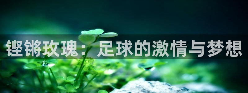 世界杯赛程表2026：铿锵玫瑰：足球的激情与梦想