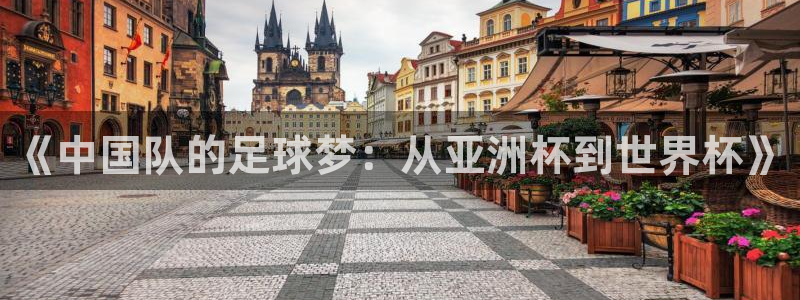 世界杯 直播：《中国队的足球梦：从亚洲杯到世界杯》