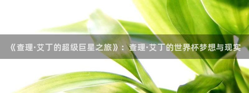 世界杯欧洲区赛程：《查理·艾丁的超级巨星之旅》：查理·艾丁的世界杯梦想与现实